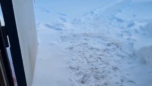 Горелка на отработке отработанном масле