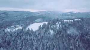 Blues  Maria Daines    Вот что такое блюз