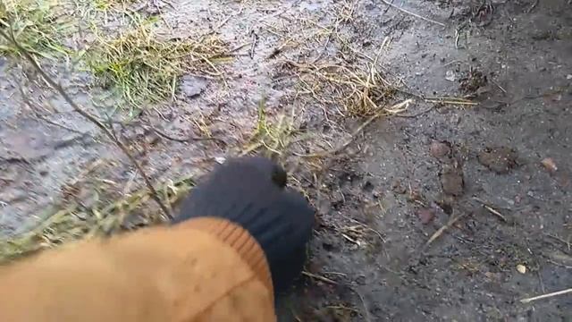 ПОИСК МЕТАЛЛОЛОМА И МОНЕТ В ГОРОДЕ. СОБИРАЕМ ЦВЕТНОЙ МЕТАЛЛ. КАК ЗАРАБОТАТЬ ДЕНЬГИ. ГДЕ НАЙТИ МЕДЬ смотреть онлайн