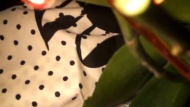 Cрезаем детку орхидеи смотреть онлайн