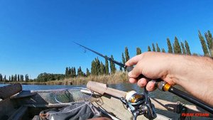 судак на степных реках краснодара