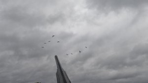 Охота с подхода на гуся, гуся море, своих взял 08.10.2023