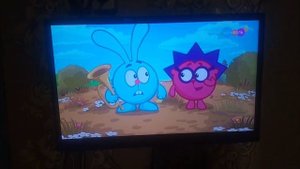 Телеканал карусель День эколога 5 июня