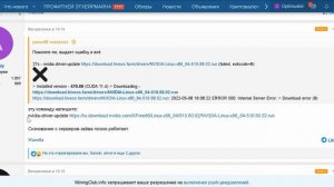 Hive OS ОШИБКА ПРИ УСТАНОВКЕ ДРАЙВЕРА, Как установить Драйвер NVIDIA ВРУЧНУЮ, Таблетка =100%