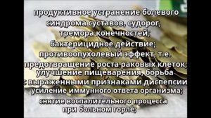 Лавровый лист. Лечебные свойства