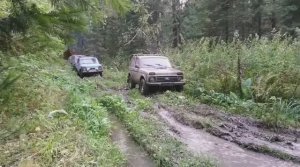 Поездка в лес. Маршрут Таргай-с.Ильинка. Нивы и сурф. Часть 3 день 2 пробиваем путь по старой дороге