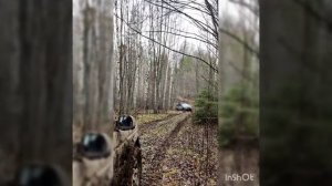 Полная Чухлома 2021. День 2: Насыщенный.