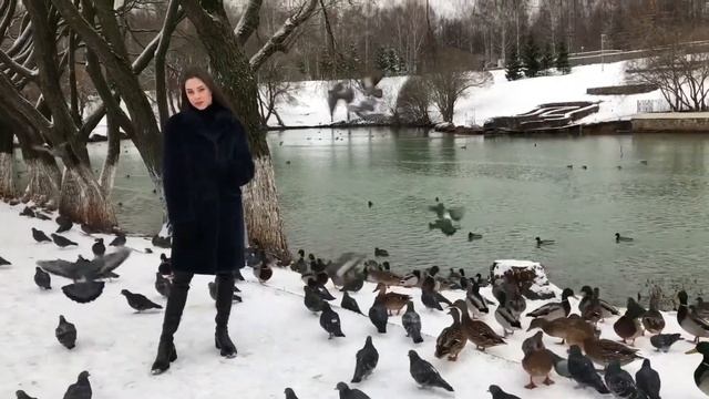 Шуба-пальто из норки синего цвета | Магазин МЕХХАУС смотреть онлайн