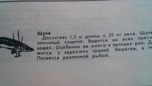 Щука - Места обитания
