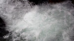 Владимир Руль "Таджикистан"