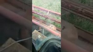 Полесье КСК -600 запуск после зимы.