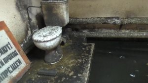 #01. Охота на крыс с ловушкой “HWRAT-MAGNET“. RAT-TRAP