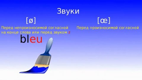 Фонетика французского, звук eu. #французскийязык