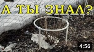 Перечень работ на даче В МАРТЕ ???
