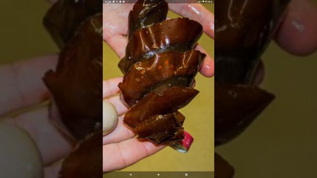 ЯЙЦА АКУЛЫ - фантастические формы смотреть онлайн