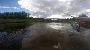 Первая голавлиная рыбалка 2016 