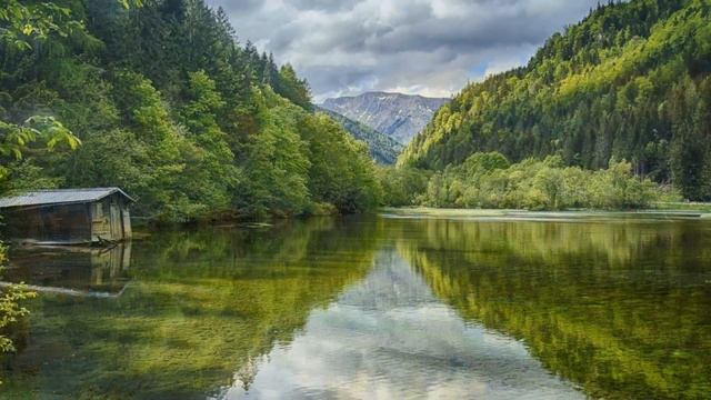 Истории из жизни Теща как могла издевалась и оскорбляла его Жизненные истории рассказы смотреть онлайн