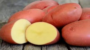 ЛУЧШИЙ СЕМЕННОЙ КАРТОФЕЛЬ КРАСА СЕДЕК