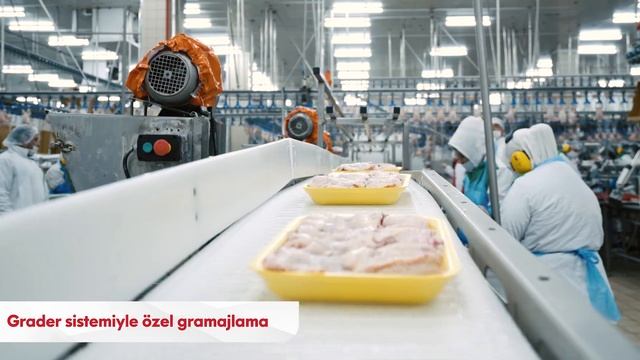 Lezita Kurumsal Tanıtım Filmi смотреть онлайн