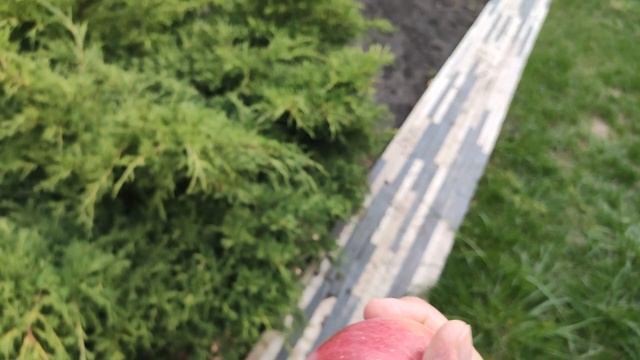 Славянск. 14. 09. 2022 г. Перед ночью. смотреть онлайн