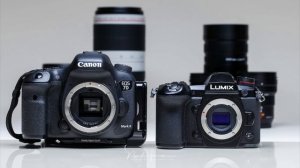 Матрица камеры Full-frame vs Crop| Основы видеосъемки