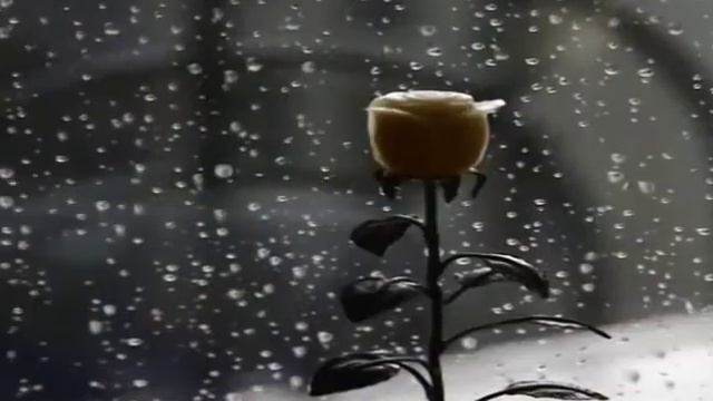 Ты приходишь во сне Олег Осетров, Елена Белова КЛИП Ирины Хворостяновой Исполнение Осетров, Поя смотреть онлайн