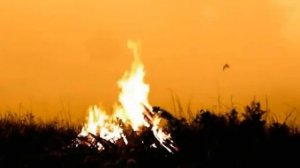 Хорошая песня,,Стелется дым,дым,дым"-Галина гармонист (самоучка)