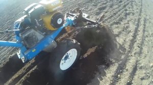 Нестандартная посадка картофеля спустя пять лет ! Самый лучший способ посадки !