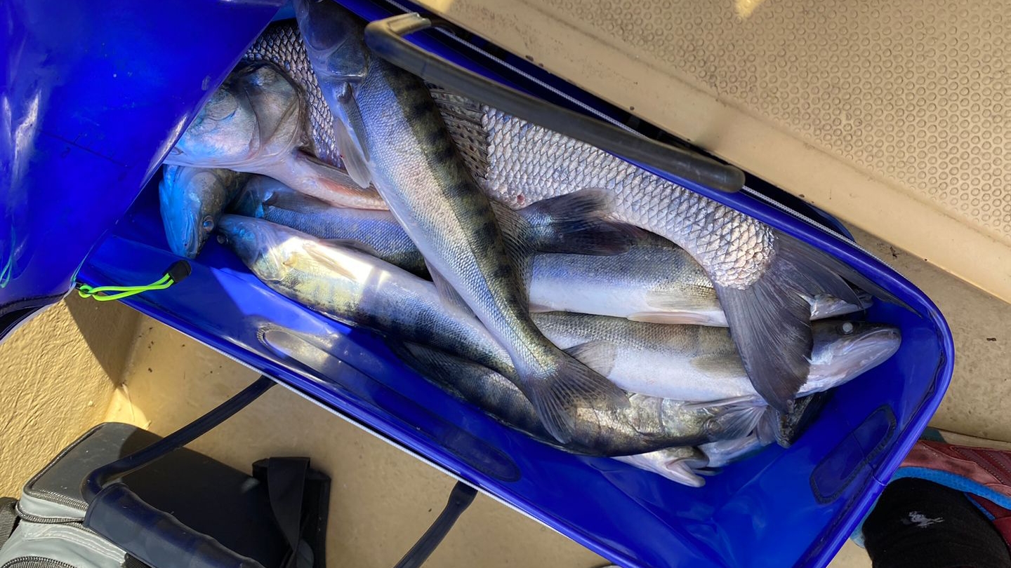 Рыбалка в Астрахани летом смотреть онлайн