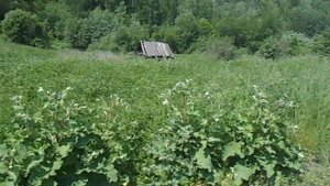 Деревня «Андреев ключ», Красноярский край.