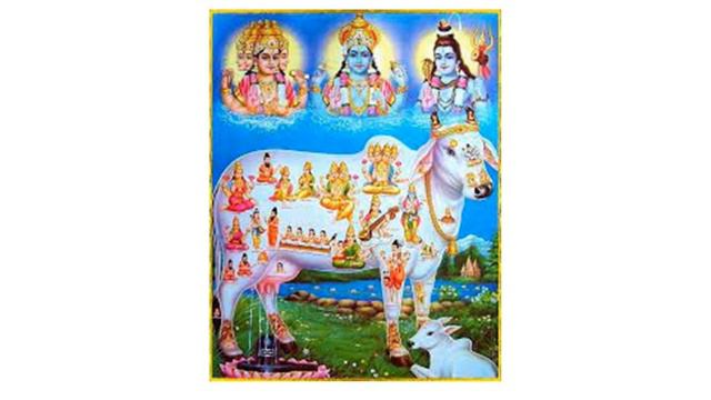 Молоко та мед - самі благосні продукти на Землі для людей смотреть онлайн