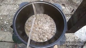 ЖЕЛУДКИ И СЕРДЕЧКИ , ТУШЕНЫЕ В СМЕТАНЕ в казане на костре