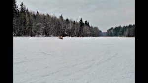 Пейзажи Людиново. Зима 2016