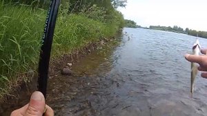Рыбалка на хариуса "тирольской палочкой"