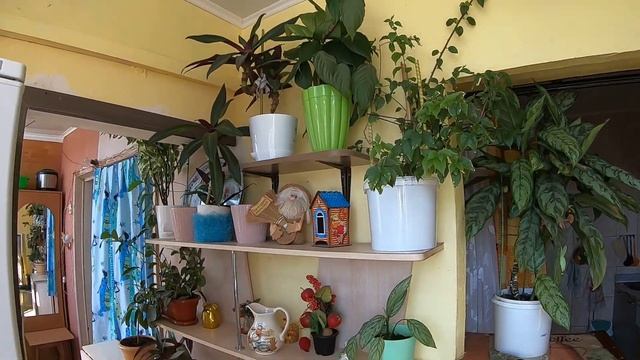 БЮДЖЕТНАЯ ВТОРИЧКА ГЕЛЕНДЖИКА ОДНОКОМНАТНАЯ КВАРТИРА С БОЛЬШОЙ ЛОДЖИЕЙ В ЮЖНОМ РАЙОНЕ ГОРОДА
