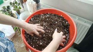 подготовка грунта для фитильного полива