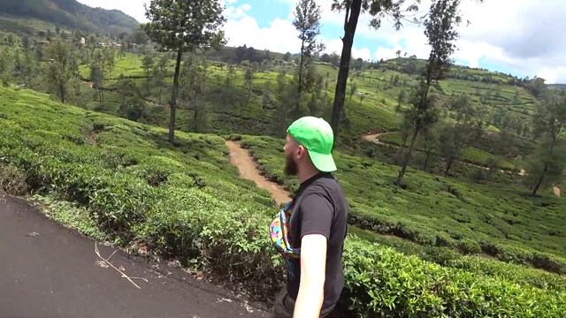 Шри-Ланка #06 Настоящий цейлонский чай - где его выращивают? смотреть онлайн