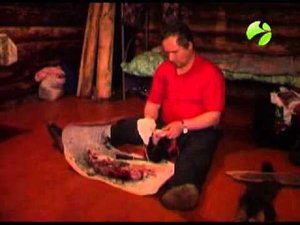 С полем! "Зимняя охота у селькупов" Часть 2 (#С_полем)