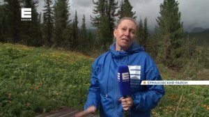 Туристов предупреждают об агрессивных медведях в Ергаках.