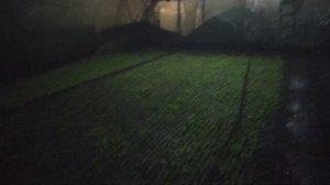 Освещение в теплице ночью Хорошо:)