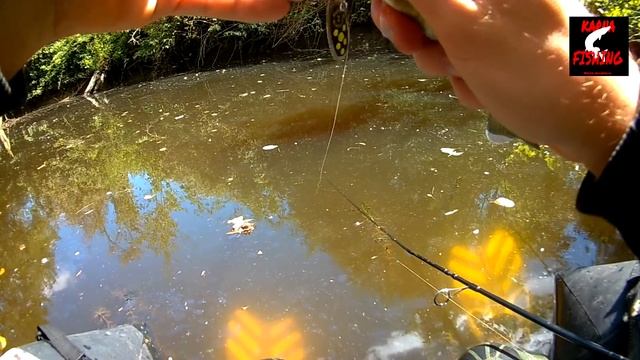 peche des carnassiers en float tube n°9 2016 смотреть онлайн