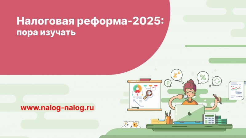 Налоговая реформа – 2025: пора изучать
