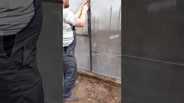 Теплица вход