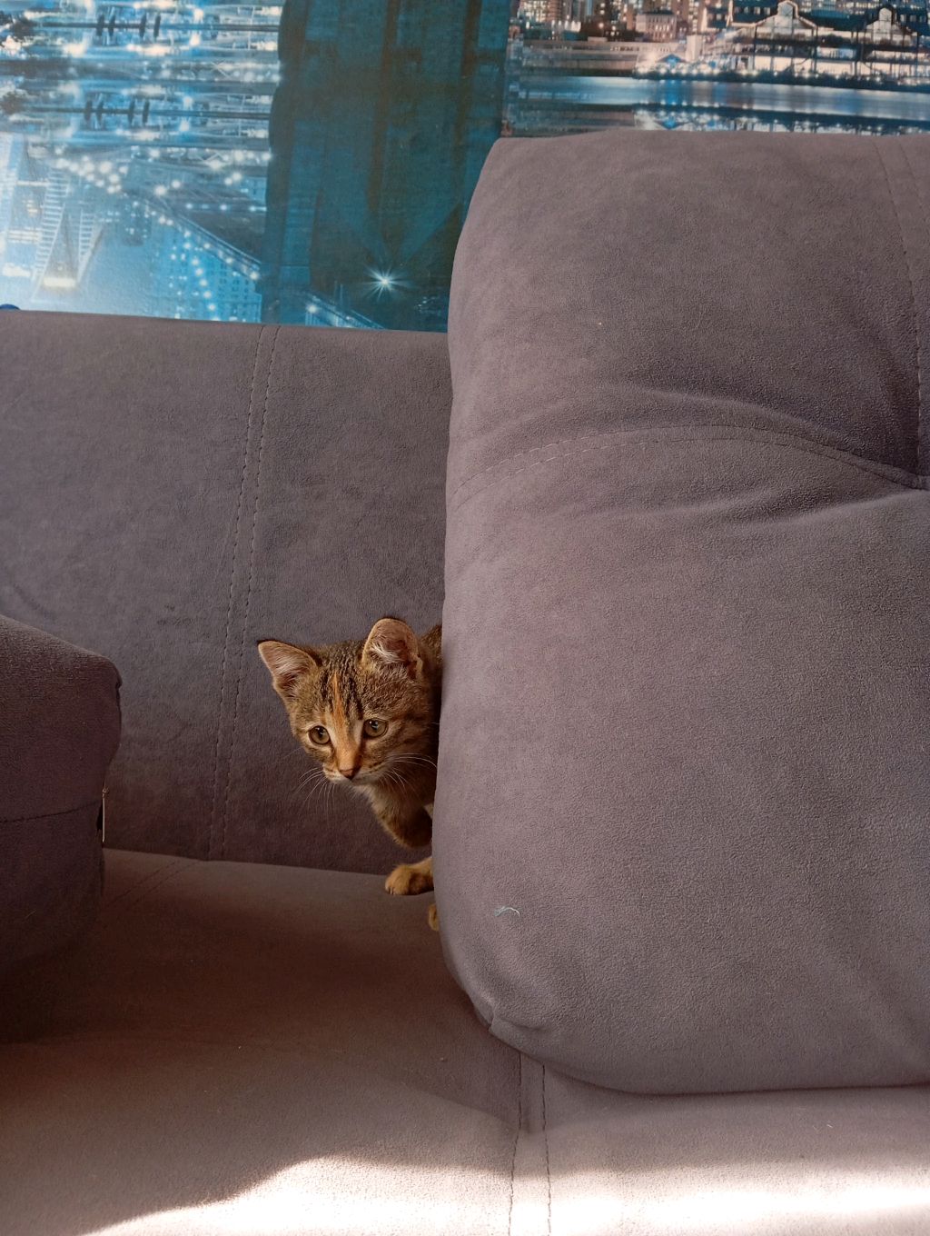 делаю песни смотреть онлайн