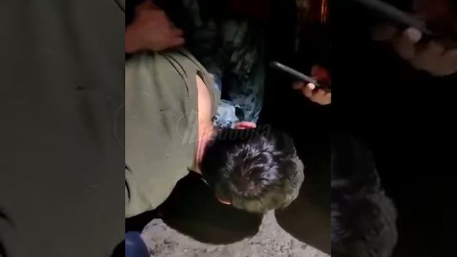 ❗️Полное видео задержания одного из террористов, пойманного в Брянской области при попытке сбежать н