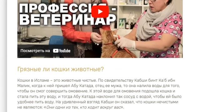 кошка в исламе смотреть онлайн
