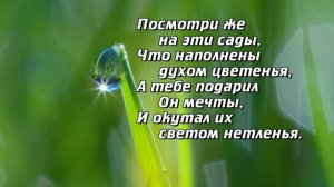 Гимн хвалы. Исполняет: Анжелика Вишня