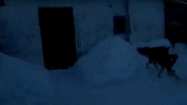 It`s my life - смотреть видео онлайн от «Laughter Therapy» в хорошем качестве, опубликованное 2 мая 2024 года в 1:27:20 00:03:11.