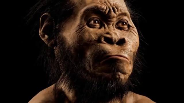 Homo Naledi - открытие, изменившее генеалогическое древо. Рассказывает антрополог Айли Марница смотреть онлайн