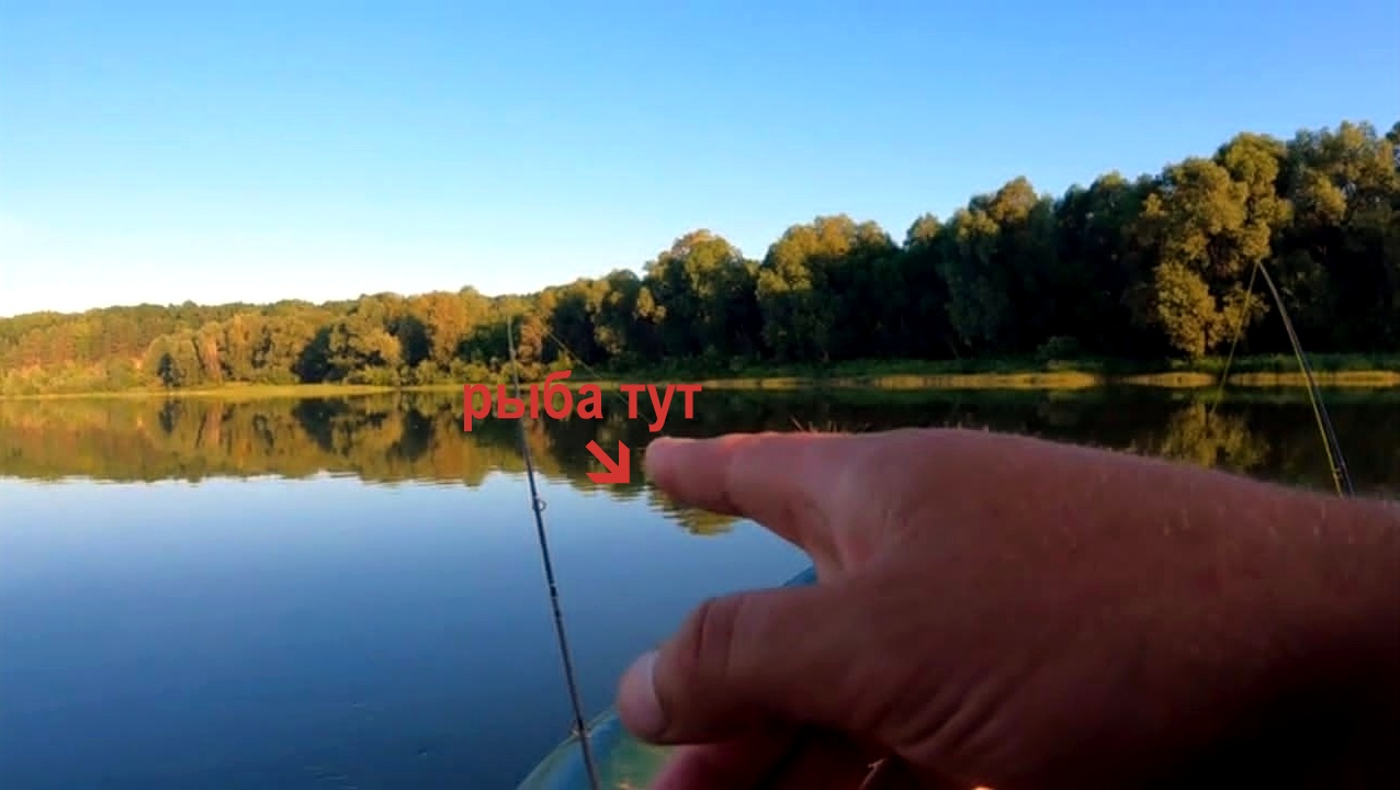 КАК БЫСТРО НАЙТИ ПОКЛЁВКИ ?! смотреть онлайн